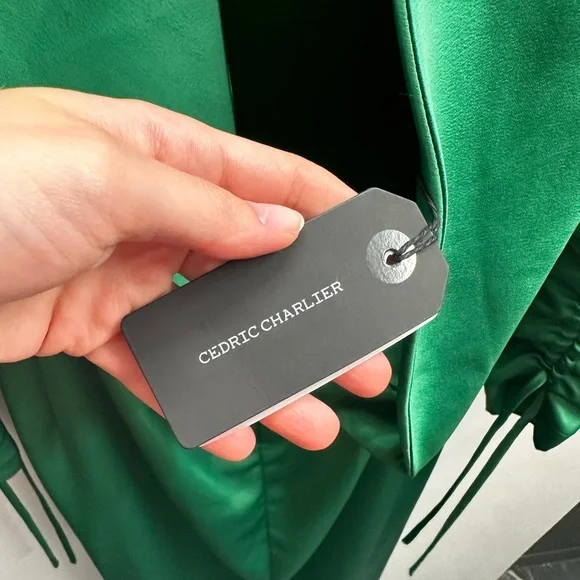 NWT Green Satin Long Sleeve Open Back Gown - Picture 7 of 8